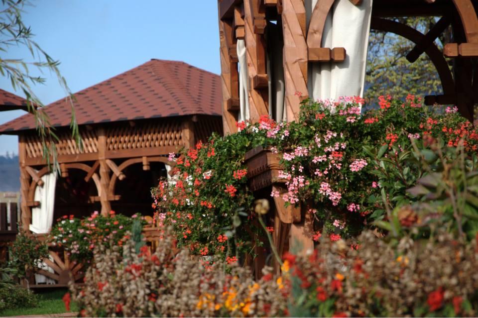 Pensiunea Cabana Soimul Comanesti  Exterior photo
